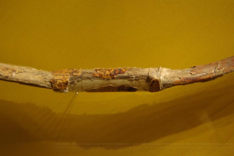 IMGP3643.jpg