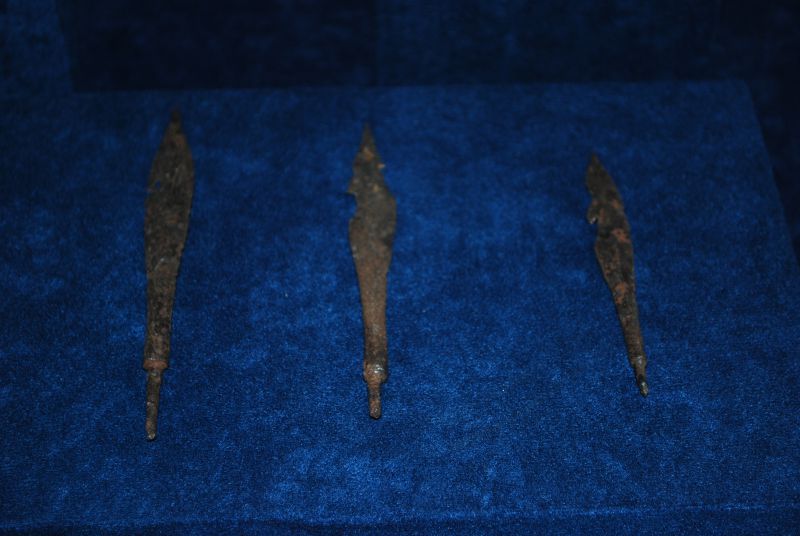 DSC 5003
