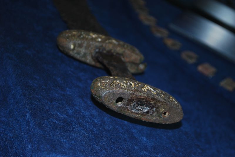 DSC 11007