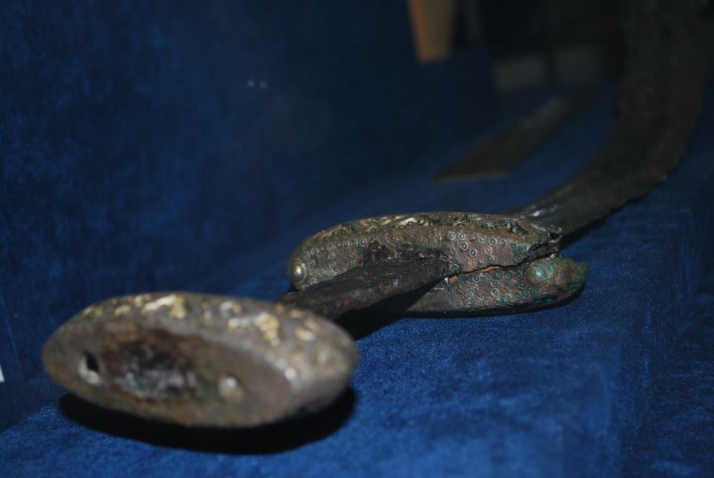 DSC 11006