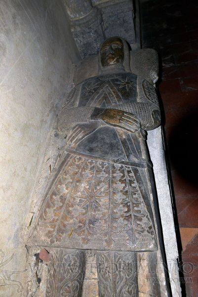 DSC 6284a