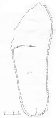 Image00016