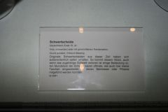 _mg_9216.jpg