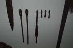 IMGP3140