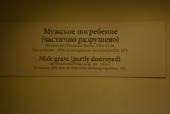 IMGP3656