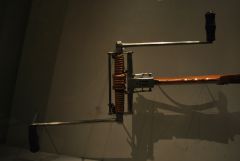 DSC 1125