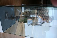 IMG_2782.JPG_s.jpg