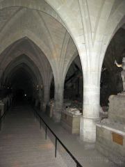 IMG_1141.jpg