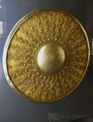 IMG_7286.jpg