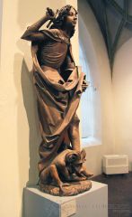 IMG_8041.jpg