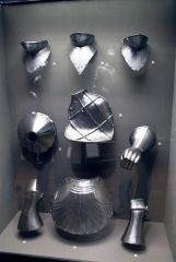 IMG 7536