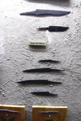 IMG 9467 IMG 9467