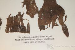 z_38c0c631.jpg