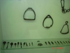 DSC05707.JPG