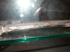 DSCN0018.JPG