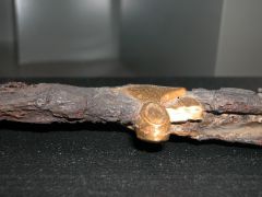DSCN0090.JPG