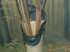 Leeds066.jpg