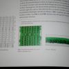 IMG 1766 IMG 1766