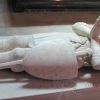 IMG_1580.jpg