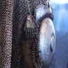 IMG 8724