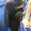 IMG 8728
