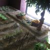 Imagen 079.jpg
