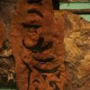 DSC07084.JPG