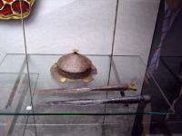 P1010073.jpg