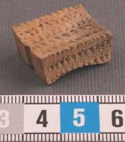 block1.jpg