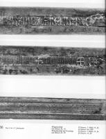 dux_nericus2.jpg