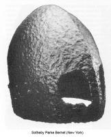 NOR_1_002.jpg