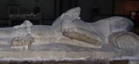 Sr_Montacute_5.jpg