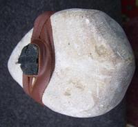 SSA45516.JPG