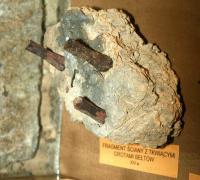 gallery_118_128489.jpg