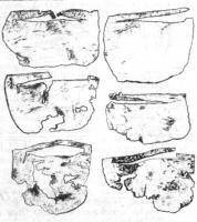 image003.jpg