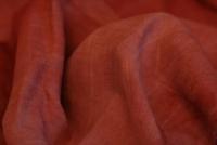 IMG_1250.JPG